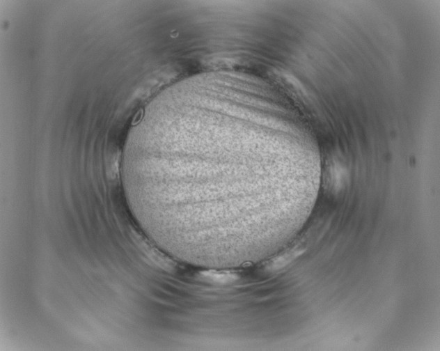 X0000088600477200706081357