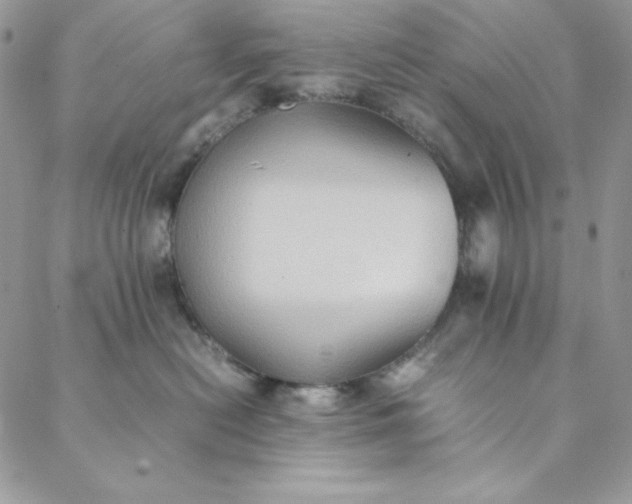 X0000088600478200706081357