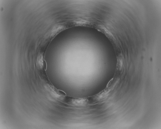 X0000088600479200706081357