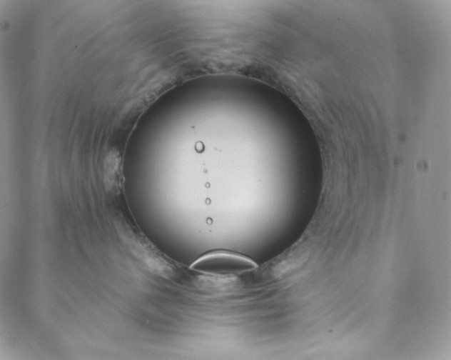 X0000088600480200706081357