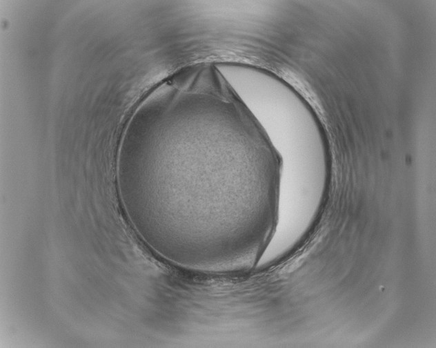 X0000088600481200706081357