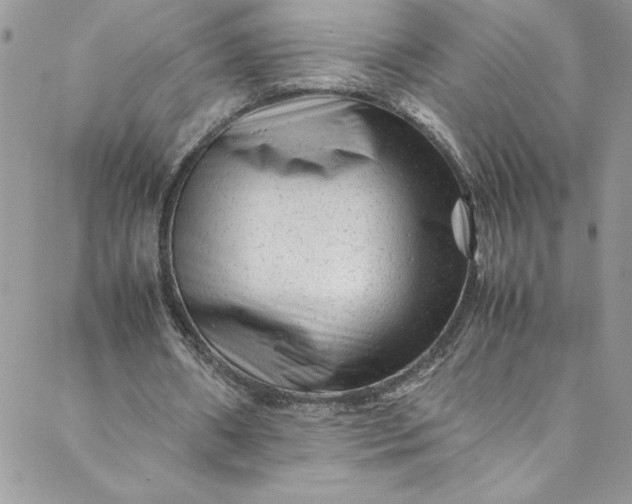 X0000088600482200706081356