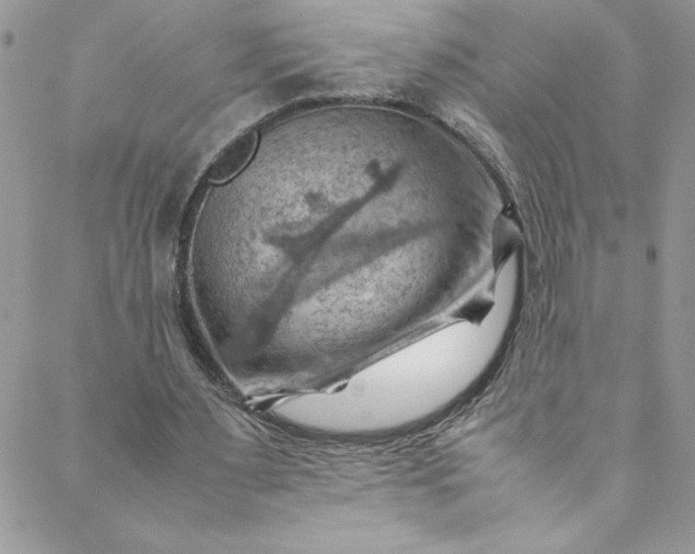 X0000088600483200706081356