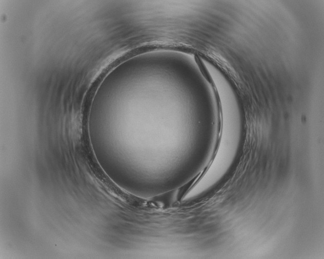 X0000088600484200706081356