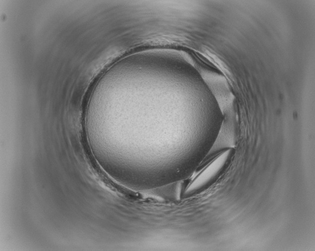 X0000088600485200706081356