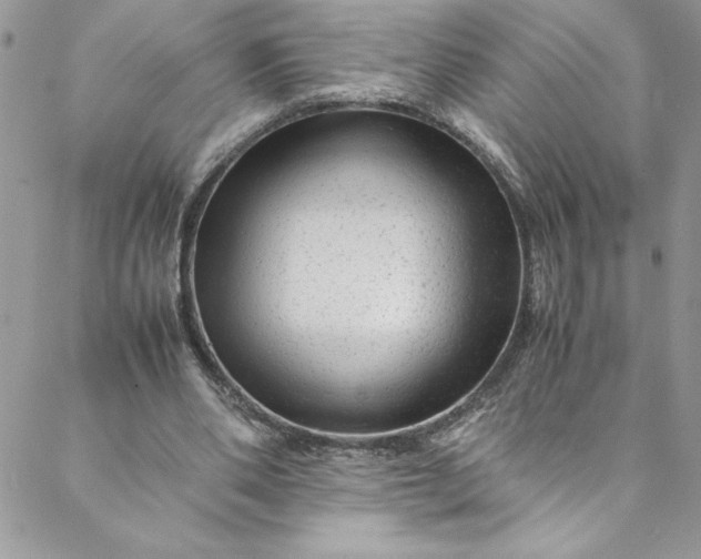 X0000088600486200706081356