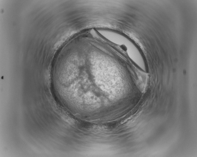 X0000088600487200706081356