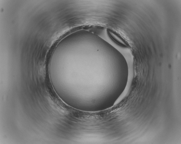 X0000088600488200706081356