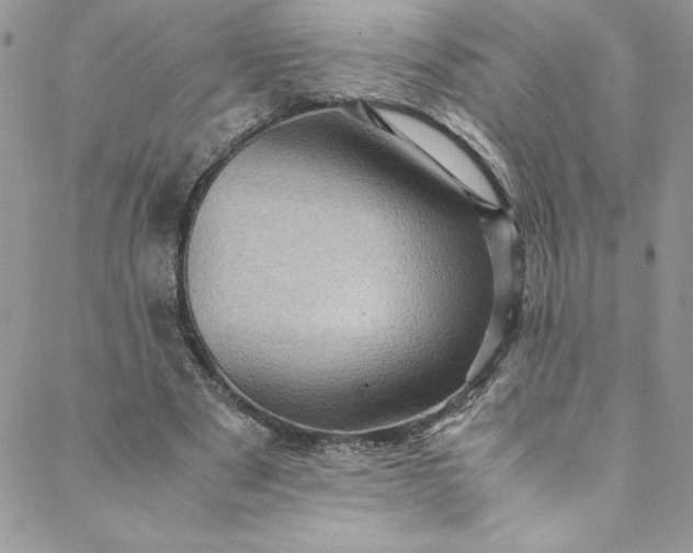 X0000088600489200706081356