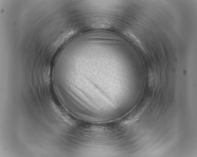 X0000088600490200706081356