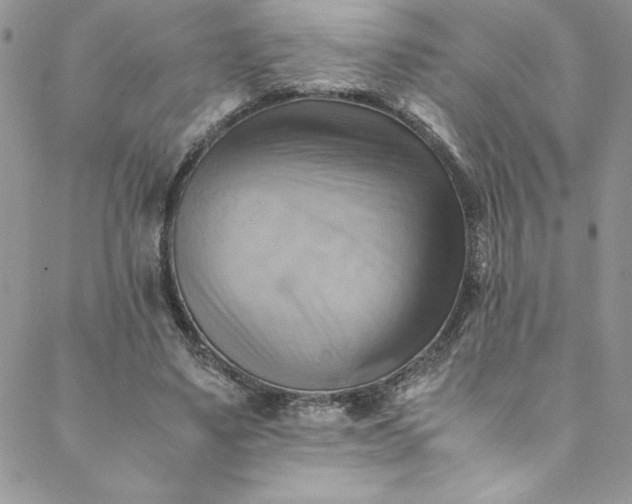 X0000088600491200706081356