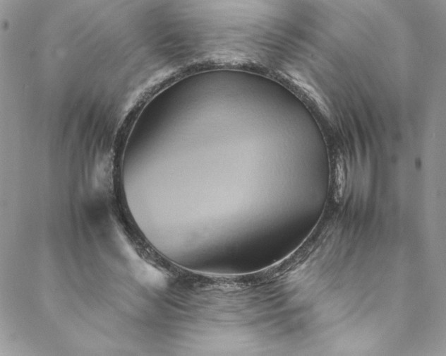 X0000088600492200706081356