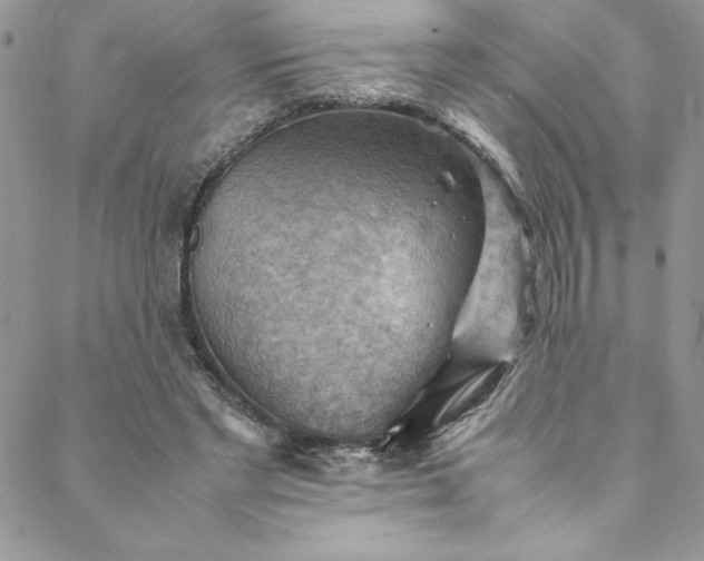 X0000088600493200706081356