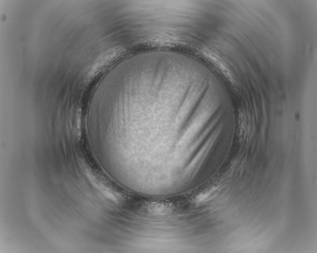 X0000088600494200706081356