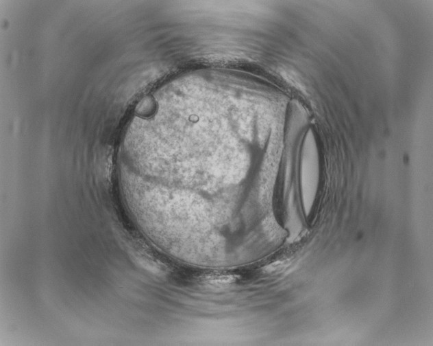 X0000088600495200706081356