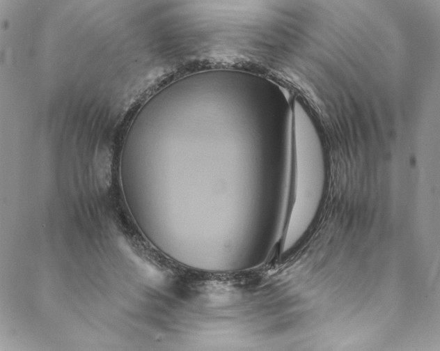 X0000088600496200706081356