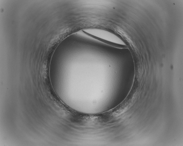 X0000088600497200706081356