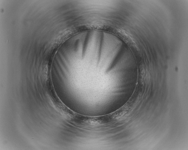 X0000088600498200706081356