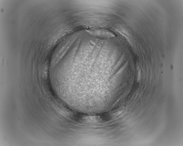 X0000088600499200706081356