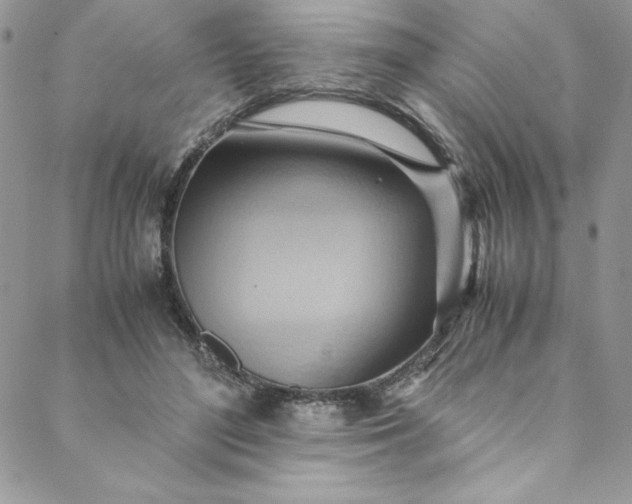 X0000088600500200706081356