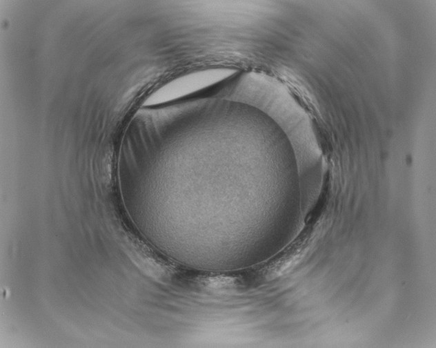 X0000088600501200706081356