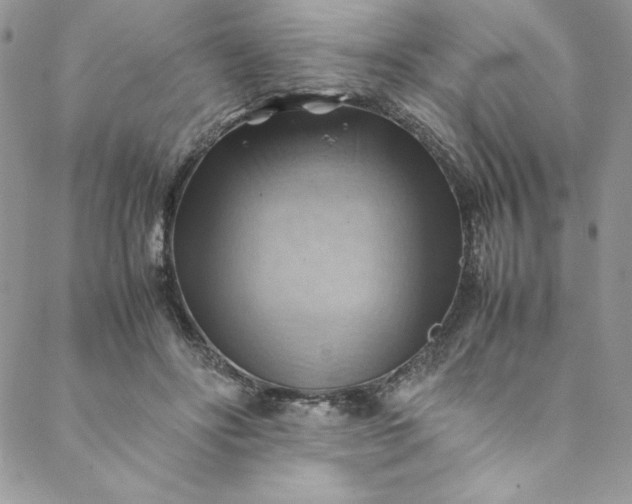 X0000088600502200706081356