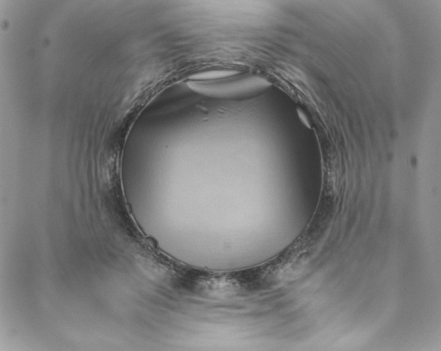 X0000088600503200706081356