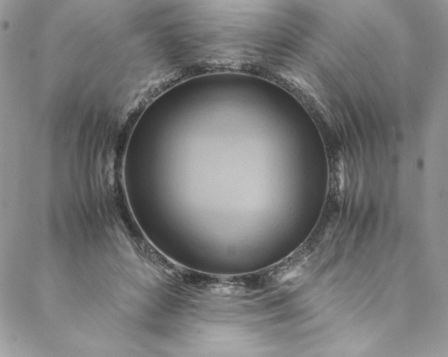 X0000088600504200706081356