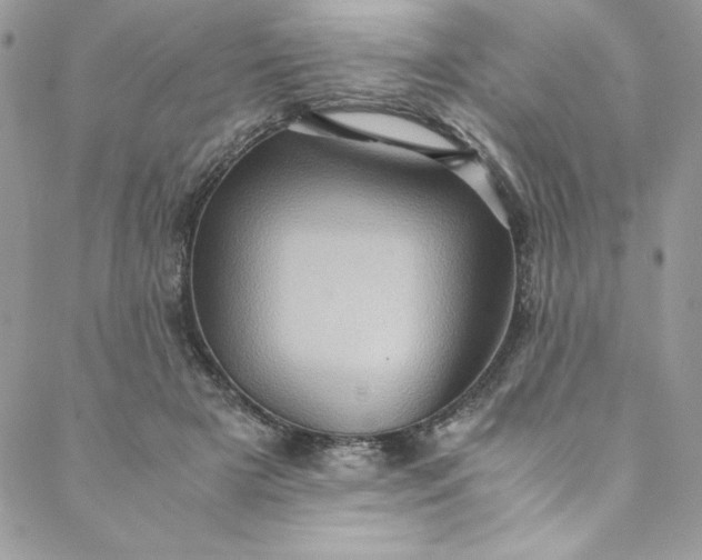 X0000088600505200706081356