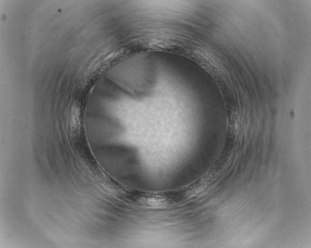 X0000088600506200706081356