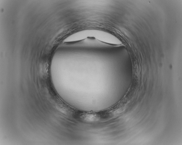 X0000088600507200706081356