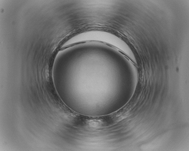 X0000088600508200706081356