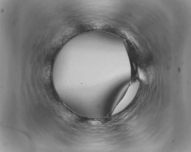 X0000088600509200706081356