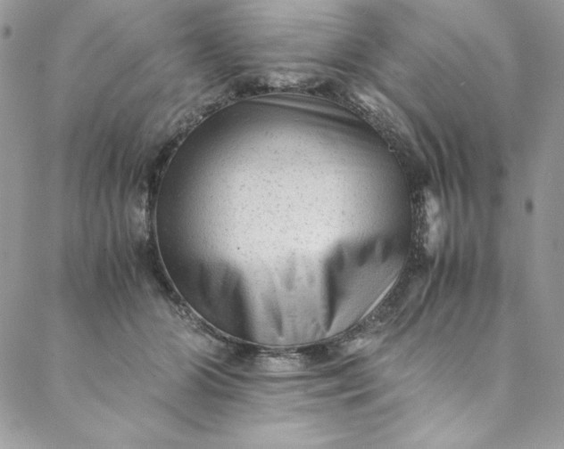 X0000088600510200706081356