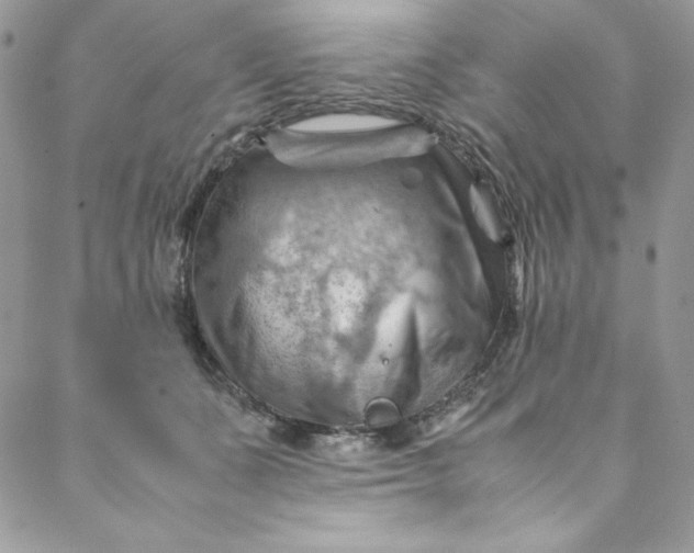 X0000088600511200706081356