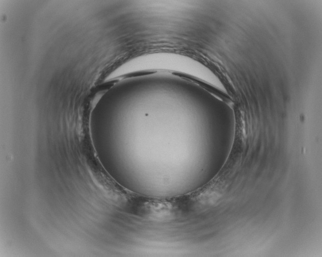 X0000088600512200706081356