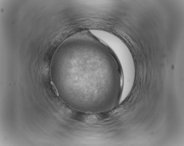 X0000088600513200706081356