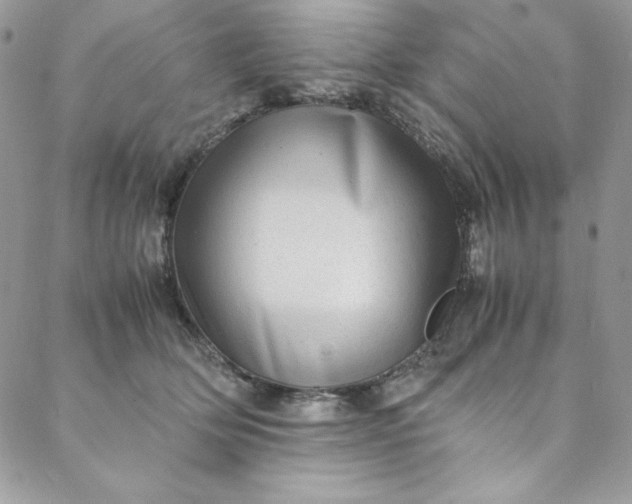 X0000088600514200706081356