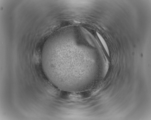 X0000088600515200706081356