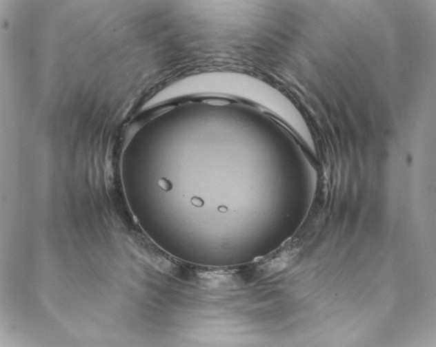 X0000088600516200706081356