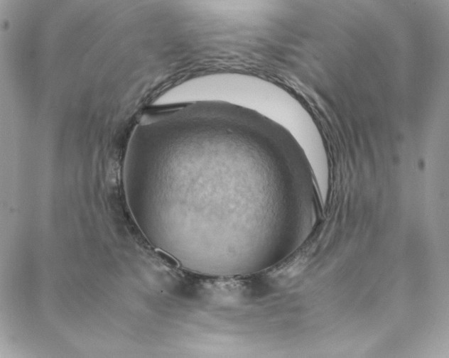 X0000088600517200706081356