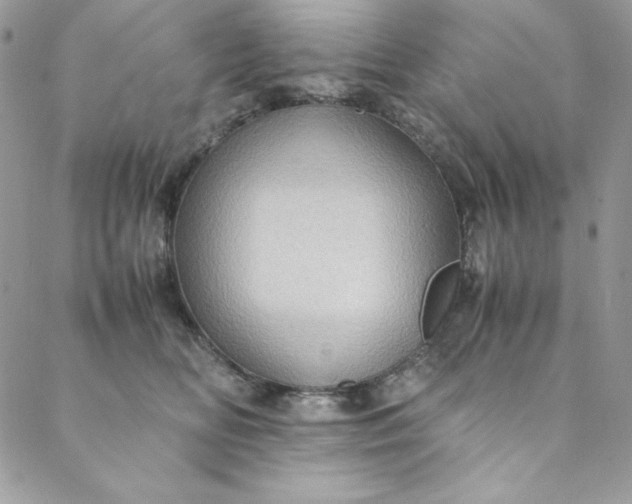 X0000088600518200706081356