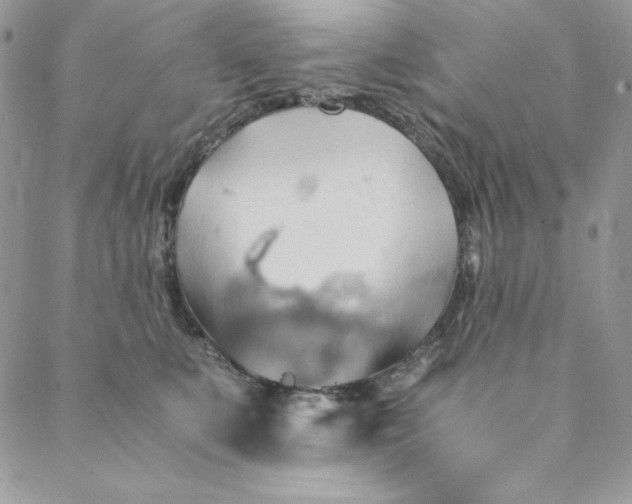 X0000088600519200706081356