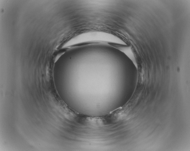 X0000088600520200706081356