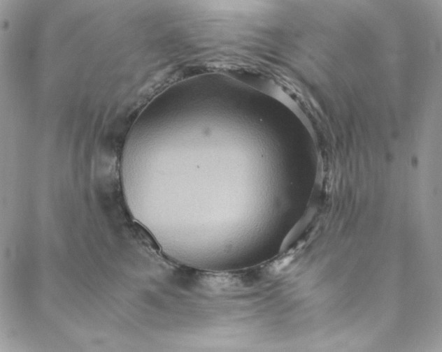 X0000088600521200706081356