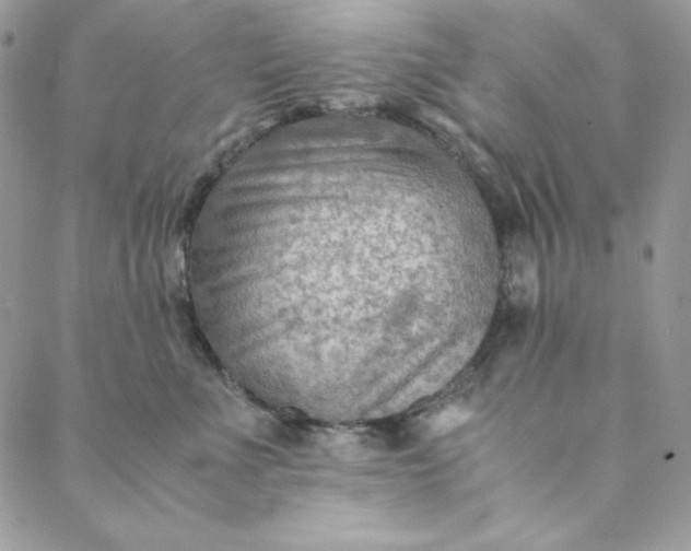 X0000088600523200706081356