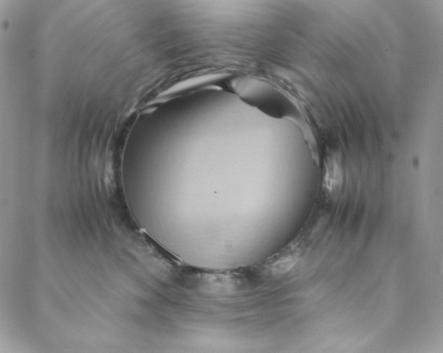 X0000088600524200706081356