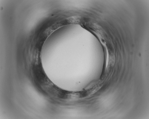 X0000088600525200706081356