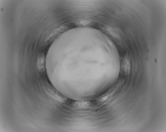 X0000088600526200706081356