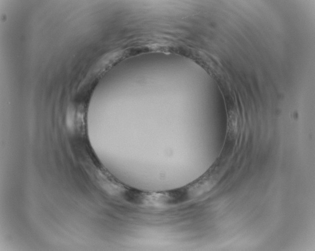 X0000088600527200706081356